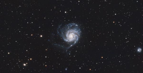 M101