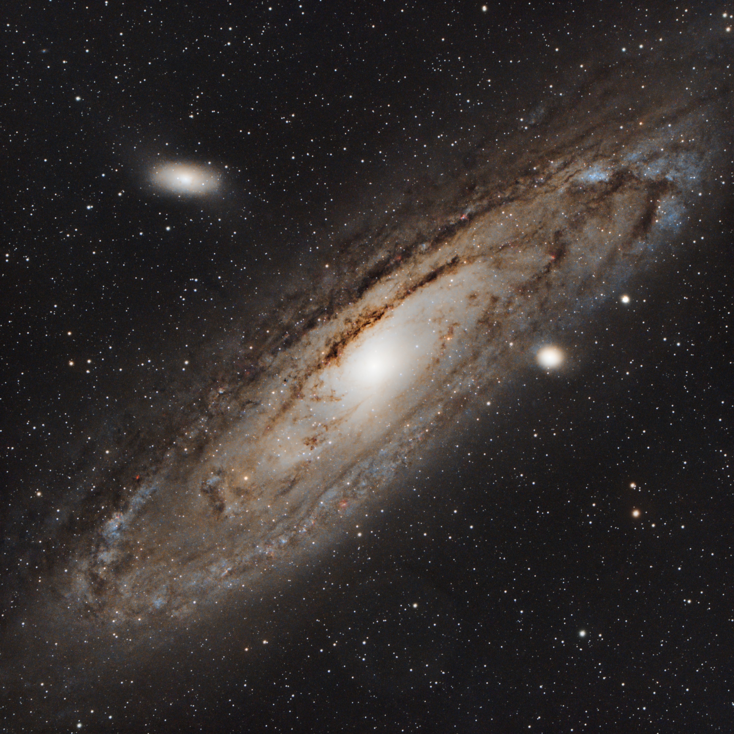 M31