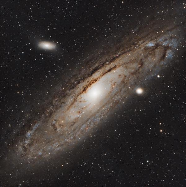 M31