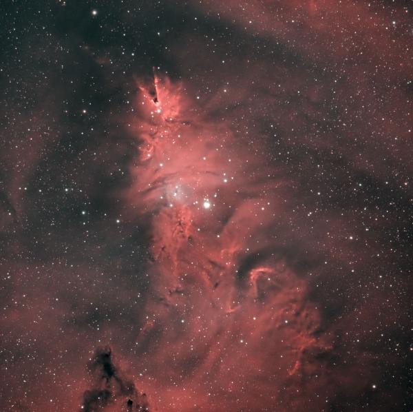 The Cone Nebulae