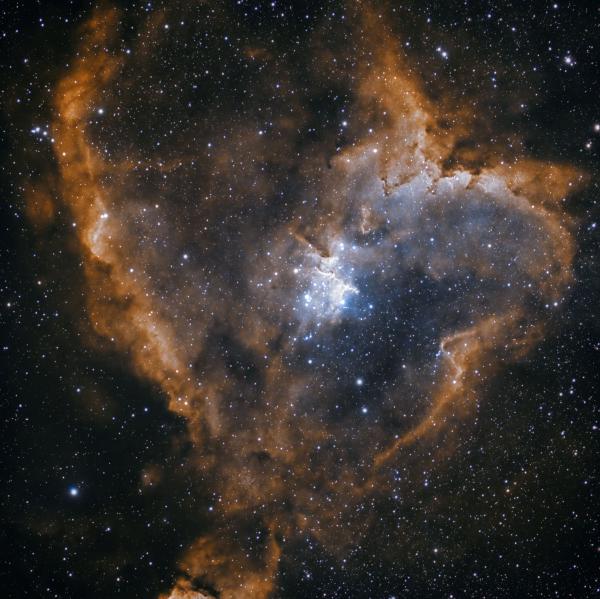 The Heart Nebulae in HOO