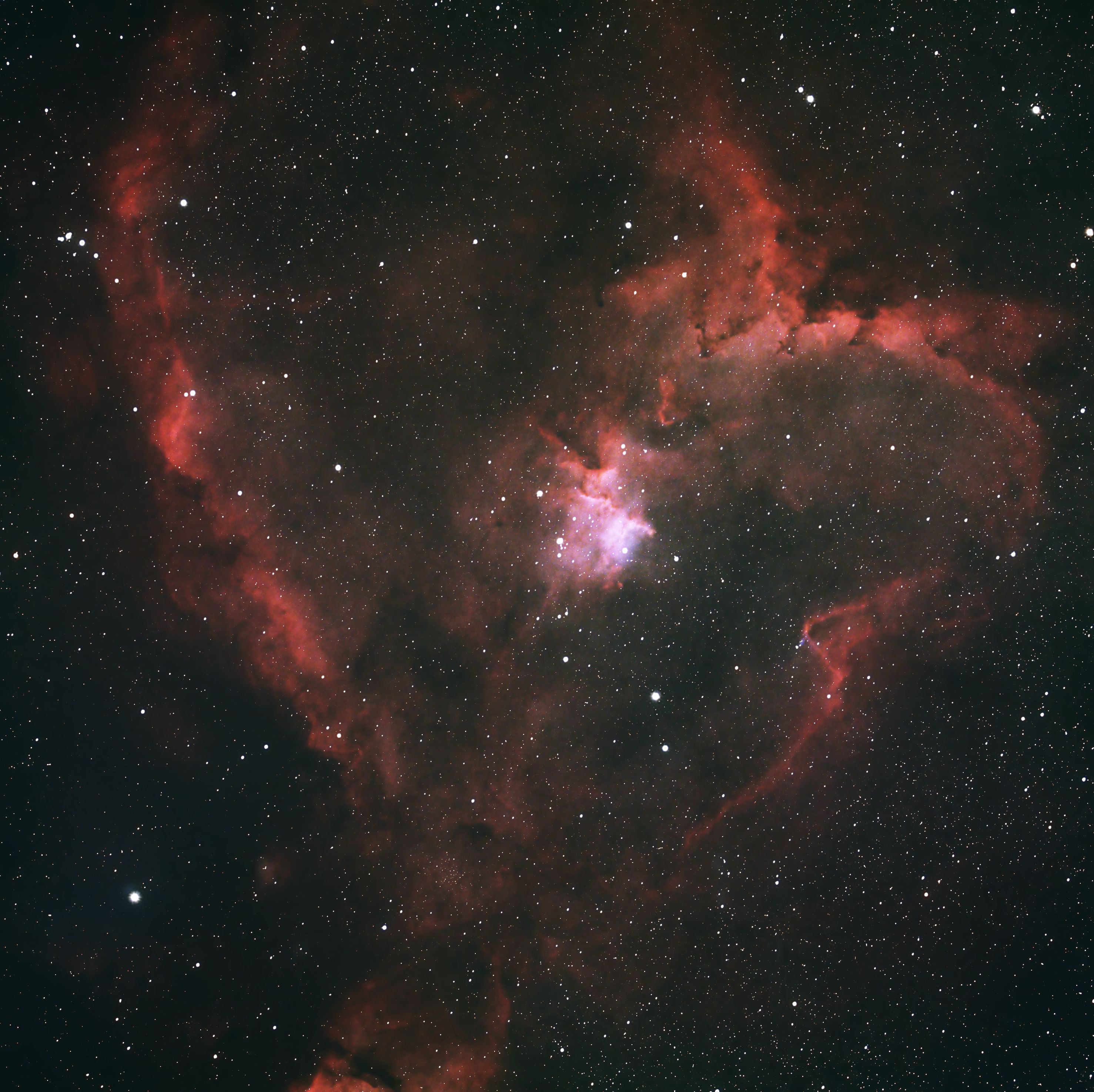 The Heart Nebulae