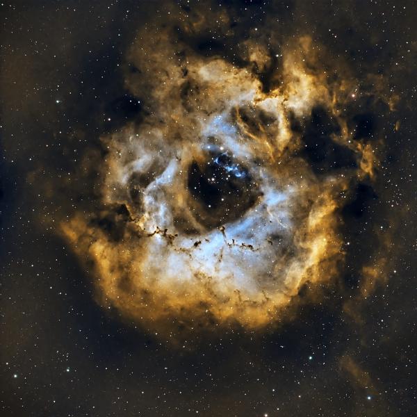 The Rosette Nubulae in HOO